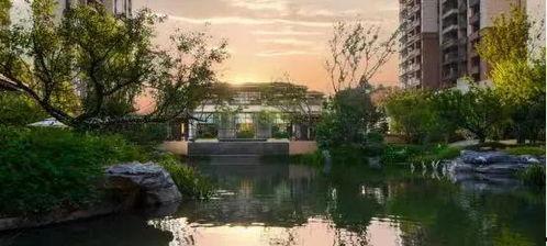 建德房产爆料最新消息,揭秘最新爆料,房价走势及热门项目一览